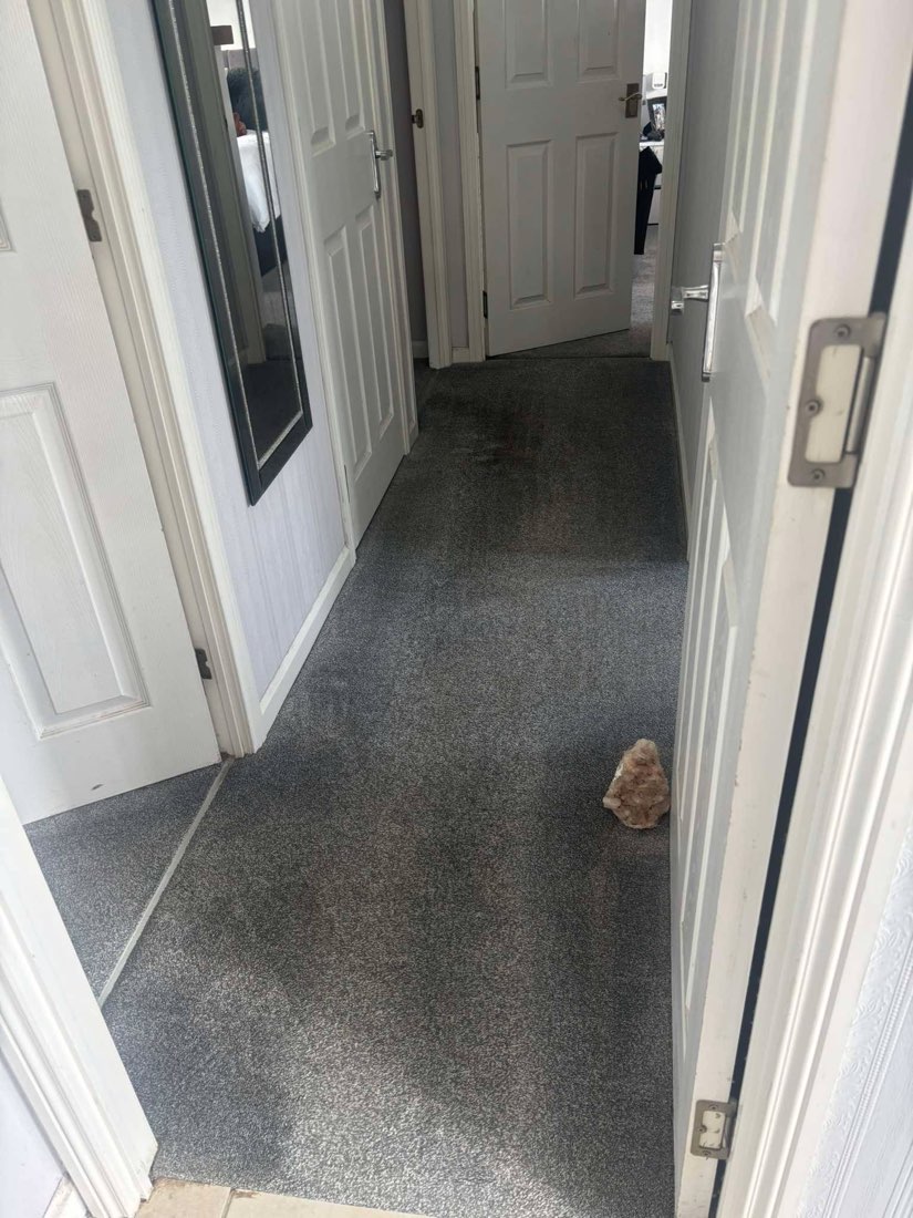 Carpet after professional cleaning, Weston-super-Mare