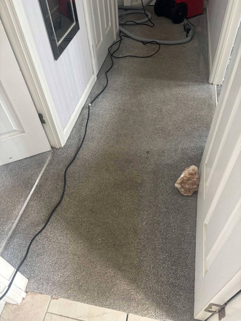 Carpet before professional cleaning, Weston-super-Mare