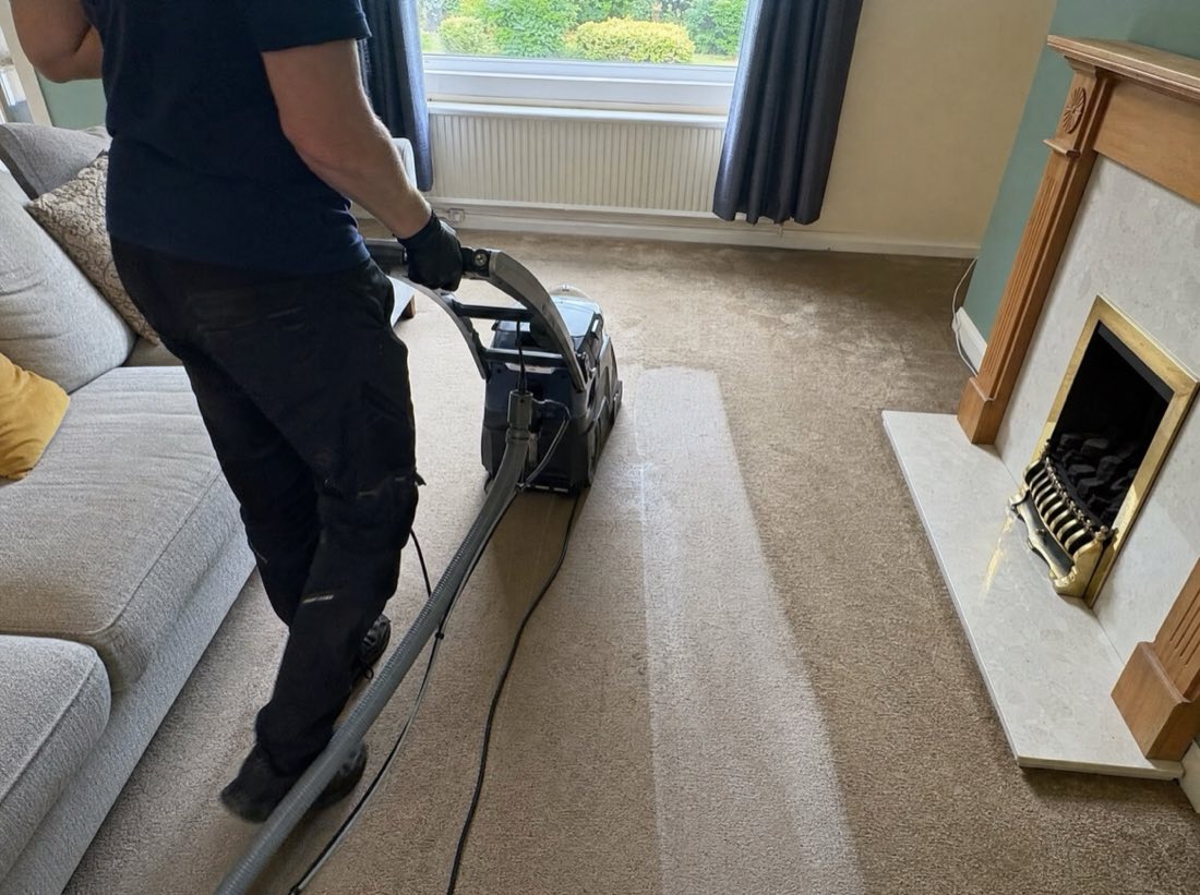 Professional carpet cleaning service